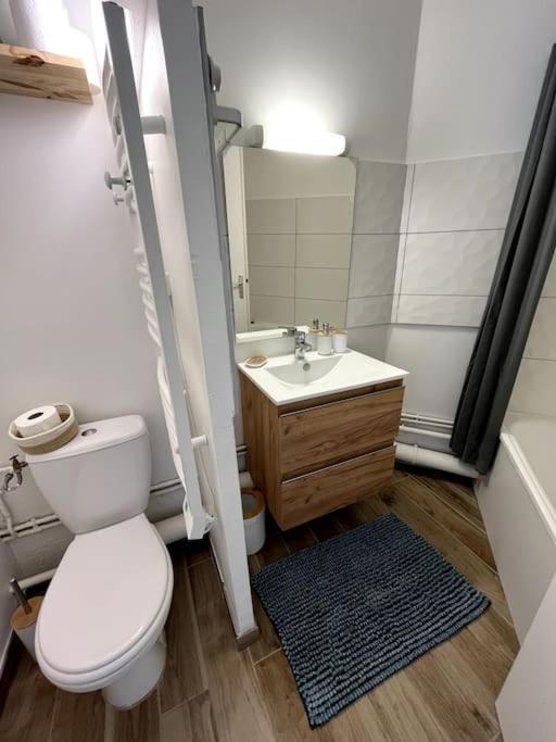The Jungle Studio, Loggia & Parking Dans Residence Romans-sur-Isere Ngoại thất bức ảnh