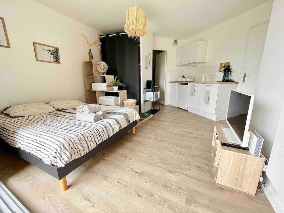 The Jungle Studio, Loggia & Parking Dans Residence Romans-sur-Isere Ngoại thất bức ảnh